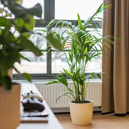 Grand - Doki Living & Foodhall Gdańsk