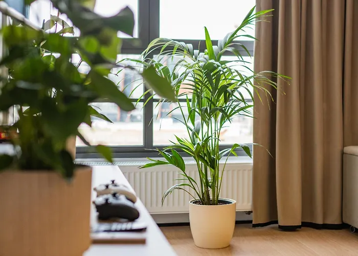 Grand - Doki Living & Foodhall Gdansk